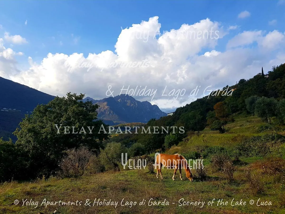 Yelay Apartments & Holiday Lago Di Garda Raffa