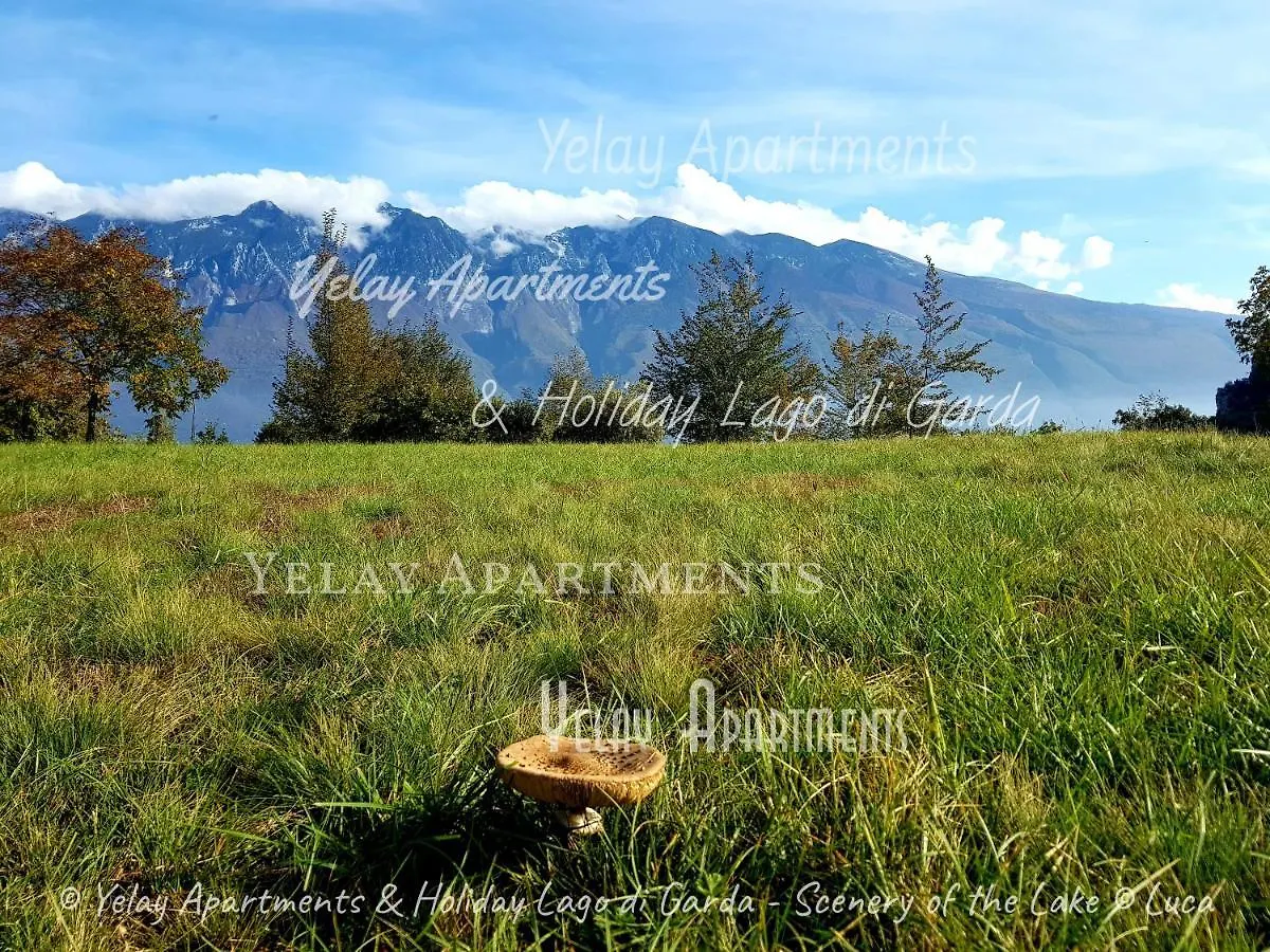Yelay Apartments & Holiday Lago Di Garda Raffa